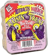 00557 Raisin Treat