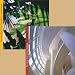 Seeing the Getty Center: Buildings & Gardens (Box Set)
