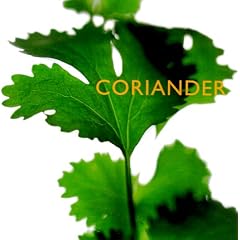 Coriander (Little Kitchen Library)