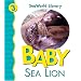 Baby Sea Lion (Seaworld Library)