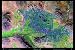 Phoenix (Art), Arizona Satellite Print, 36"x24"