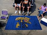 NCAA Kentucky Wildcats Logo XL 5 X 8 Tailgate Rug