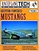 Books : Griffon-Powered Mustangs - RaceplaneTech Volume 1 (RaceplaneTech)