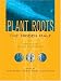 Image: Shopper's Delight: Morphology & Anatomy in The Books Store ~ Plant Roots: The Hidden Half (Books In Soils, Plants And The Environment) (Books In Soils, Plants, And The Environment)