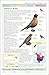 Smithsonian Handbooks: Birds of North America: Western Region (Smithsonian Handbooks)