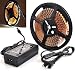 ATC Cold White 5M 600leds 3528 LED Strips Lights 500CM SMD Flexible car+ US adapter