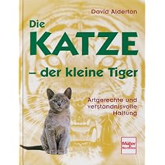 Die Katze, der kleine Tiger
