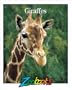Giraffes (Zoobooks Series)