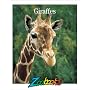 Giraffes (Zoobooks Series)