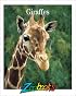 Giraffes (Zoobooks Series)