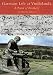 Garrison Life at Vindolanda: A Band of Brothers