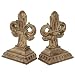 Brown Imperial Iris Bookends Pair