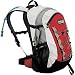 Sporting Goods : Camelbak 2008 Rim Runner 100oz. Hike Hydration Pack