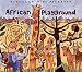 African Playground