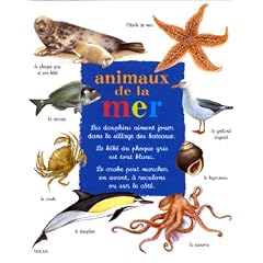 Animaux de la mer