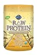 Garden of Life Garden of Life Raw Organic Protein, 622 Grams