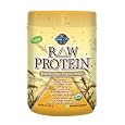 Garden of Life Garden of Life Raw Organic Protein, 622 Grams