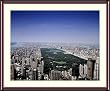 Central Park, New York City Photograph - Beautiful approx. 24"x28" Framed & Matted - 1 7/8" Walnut Toned Wood Frame - Photographic Print by Carol M. Highsmith