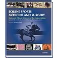 Equine Sports Medicine and Surgery by Kenneth Hinchcliff, Andris Kaneps, and Raymond Geor