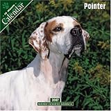 Pointer (Euro)2007 Wall Calendar