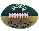 Football Smasher - South Florida Bulls