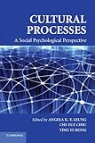 Cultural processes : a social psychological perspective