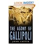 The Agony of Gallipoli