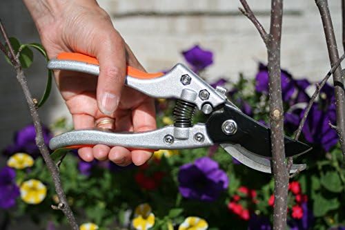 Heavy Duty Professional Bypass Pruner Shear ยป Premium Quality ยป Ultra Lightweight Aluminum Frame ยป 8" Hand Trimmer ยป Ergonomically Engineered ยป Shock Absorbing Handle ยป Anti Slip Grip ยป Secateurs
