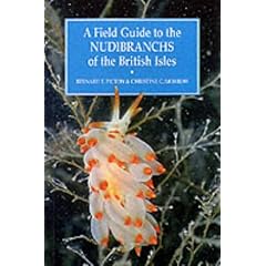 A Field Guide to the Nudibranchs of the British Isles