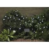 Smart Solar Star String Lights