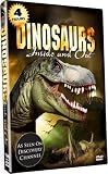 Dinosaurs - Inside and Out - 4 HOURS! AS SEEN ON DISCOVERY CHANNEL!
