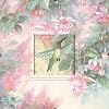 Dimensions Needlecrafts Counted Cross Stitch, Hummingbird Grace