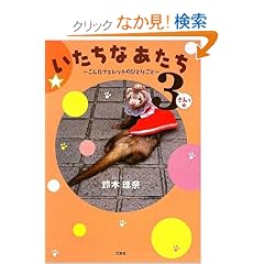 �������Ȃ����� 3 ����ȃt�F���b�g�̂ЂƂ育��