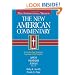 The New American Commentary Volume 19 B - Amos, Obadiah, Jonah