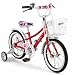 MINI(ミニ)16インチ 子供用自転車 CHIBI Mini 16 アクション・レッド