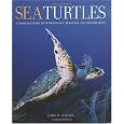 Sea Turtles: A Complete Guide to Their Biology, Behavior, and Conservation