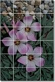 IMAGE OF Flowers Photo Custom Tile Mural 11 | 17x25.5 using (24) 4.25x4.25 tiles