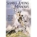 SHARKS AMONG MINNOWS: The Fokker Eindecker Period, July 1915 to September 1916