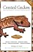Book Crested Geckos: From the Experts at Advanced Vivarium Systems