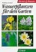  : Wasserpflanzen f&uuml;r den Garten