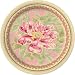 Design Design April Cornell Poetry Dinner Plate, 8-Count Packages (Pack of 4)