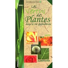 Les vertus des plantes dans la vie quotidienne