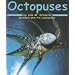Octopuses (Ocean Life)