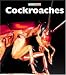 Book Cockroaches (Naturebooks)
