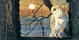 Day Break Owl Blank Card