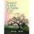 Elements of the Nature and Properties of Soils (2nd Edition)