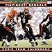 bengal0 - Cincinnati Bengals 2010 12 x 12 Team Wall