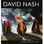 David Nash