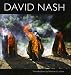 David Nash