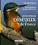Les plus beaux oiseaux de France